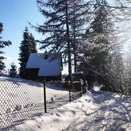 Domek Pod Modrzewiem Nowy Targ Kültér fotó