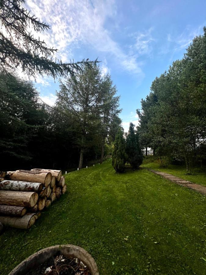 Domek Pod Modrzewiem Nowy Targ Kültér fotó