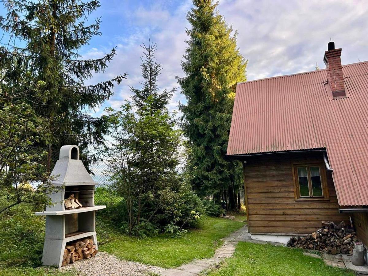 Domek Pod Modrzewiem Nowy Targ Kültér fotó