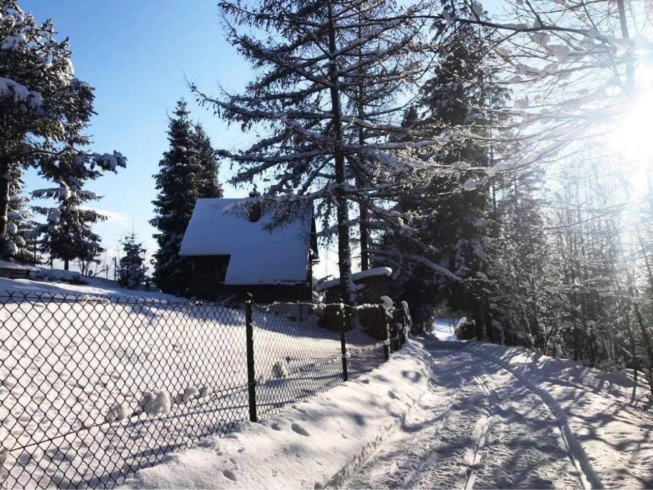 Domek Pod Modrzewiem Nowy Targ Kültér fotó